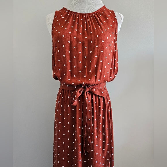 Polka Dot Dress - Picture 2 of 4